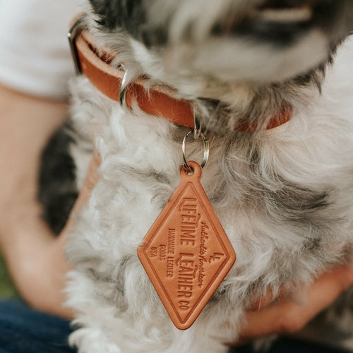 Leather Dog Collar