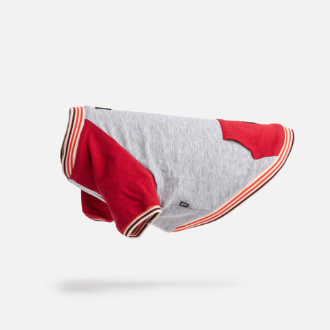 Dog Red Sweatshirt