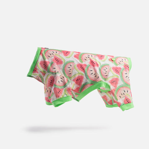 Dog Watermelon Pajama