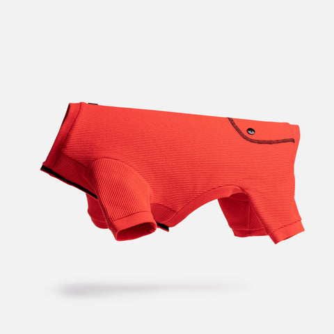 Dog Red  Pajama