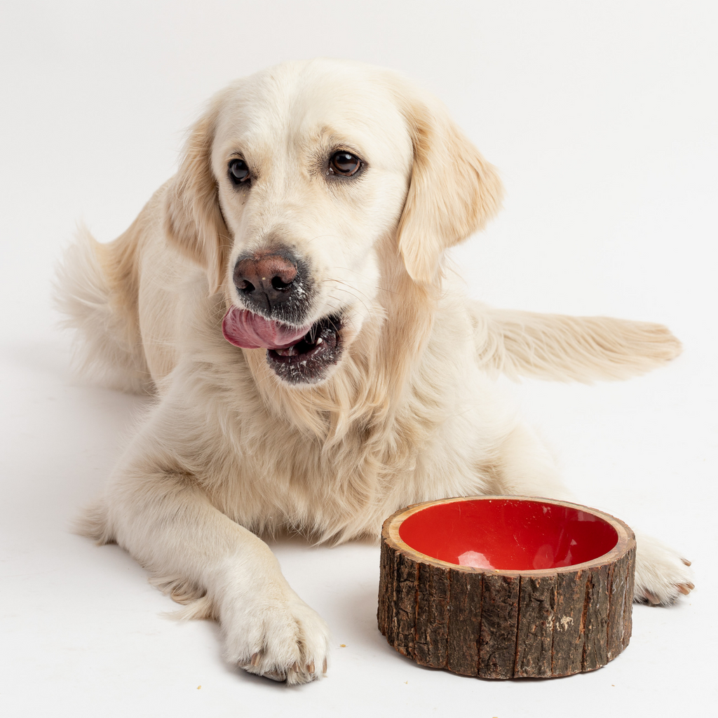 Wood Dog Bowl