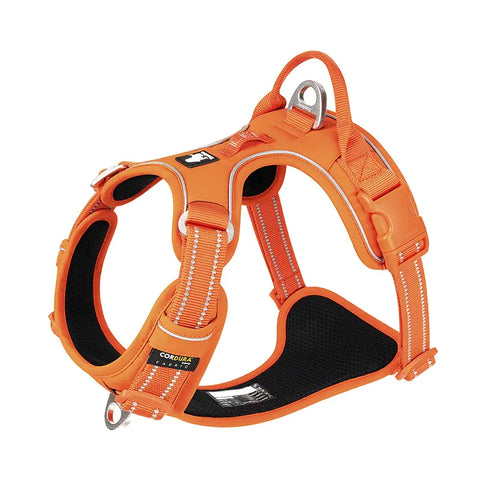 Reflective Dog Harness with Rope