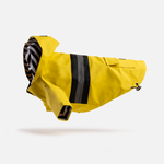 Dog Yellow Raincoat