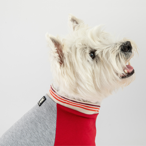 Dog Red Sweatshirt