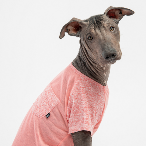 Dog Pink Urban Fit Dog Tee
