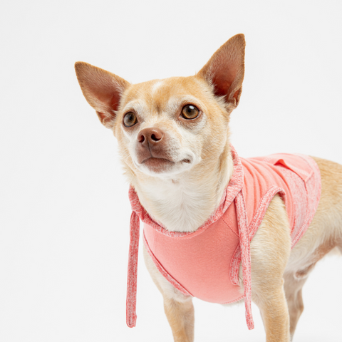Dog Pink Urban  Hoodie