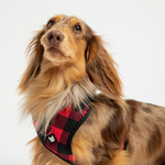 Dog Red Plaid Harness