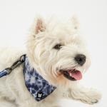 Poplin Dog Bandana Collar