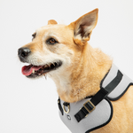 Aquafleece Dog Harness