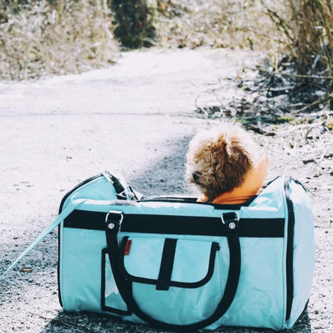 Duffel  Pet Carrier