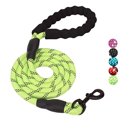 Dog Paw Reflective Leash with Padded Handle