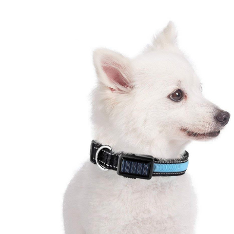 Solar Charge Reflective LED Dog Collar