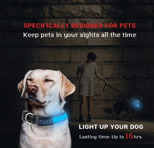 Solar Charge Reflective LED Dog Collar