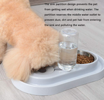 Stainless Steel Pet Bowls