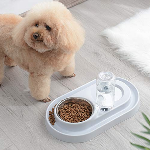 Stainless Steel Pet Bowls