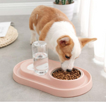 Stainless Steel Pet Bowls