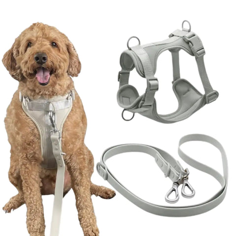 Neoprene No-Pull Dog Harness