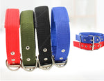 Canvas Dog Neckband Collar