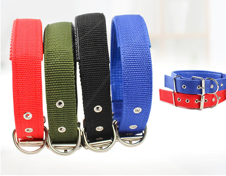 Canvas Dog Neckband Collar