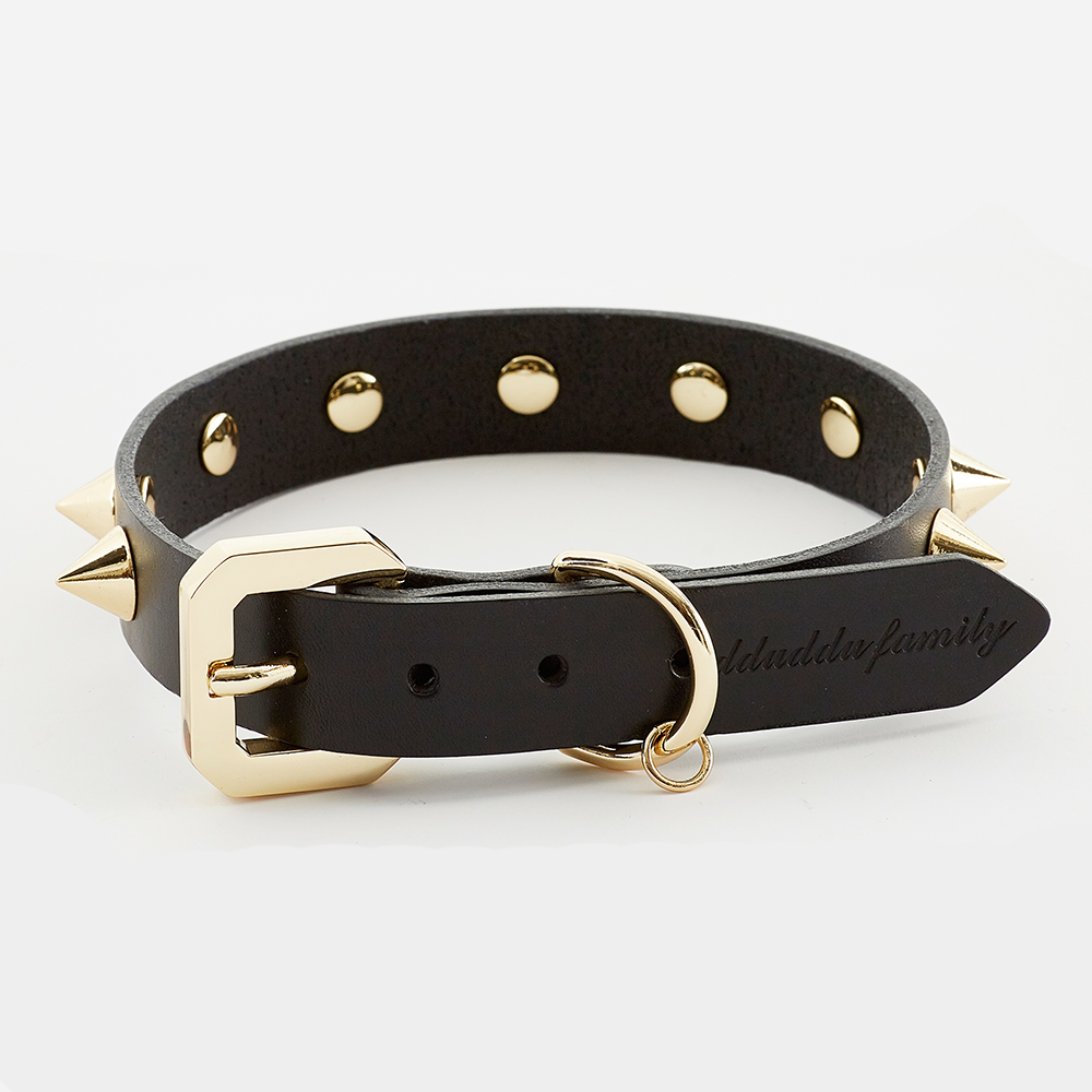 Premium  Golden Spike Black Collar