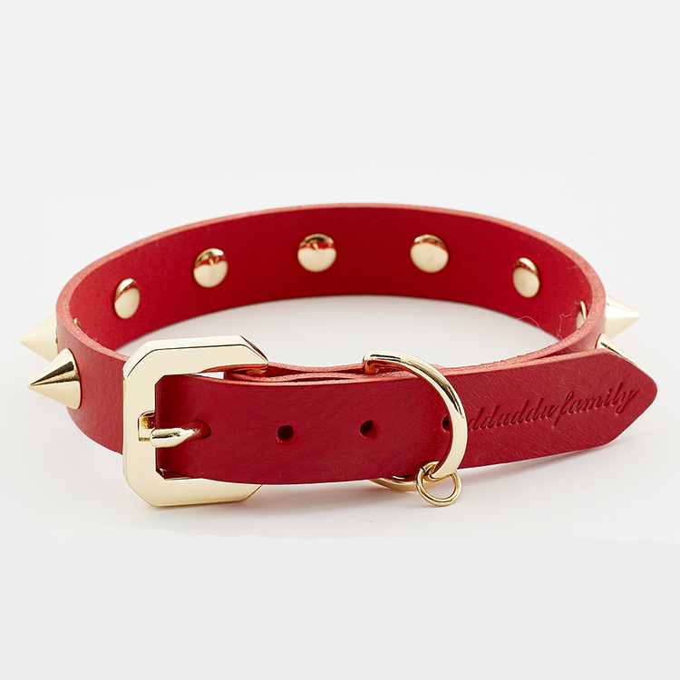 Premium  Golden Spike Red Collar