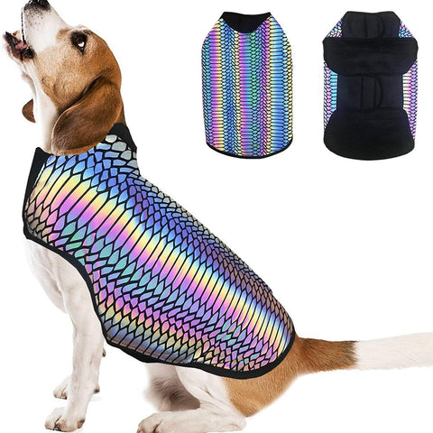 The Lumination Holographic Dog Vest