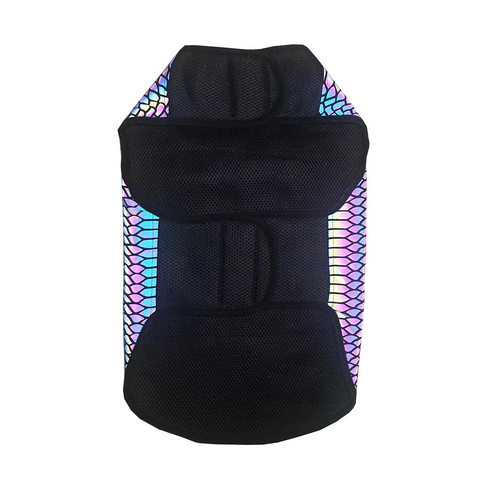 The Lumination Holographic Dog Vest