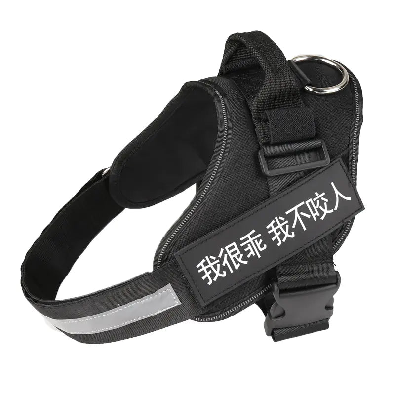 Personalized No Pull Harness