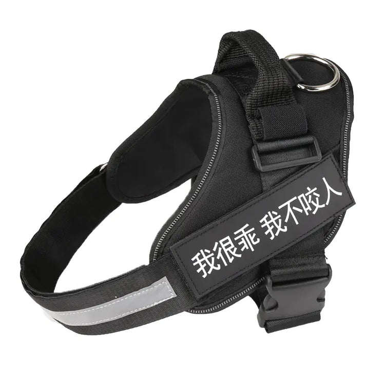 Personalized No Pull Harness