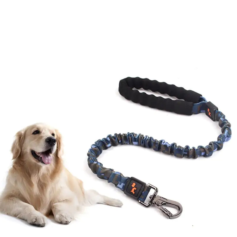 Large Elastic Dog Leash