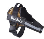 Custom Dog Harness with Tag
