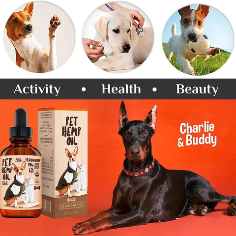 Charlie Buddy Hemp Oil for Dogs