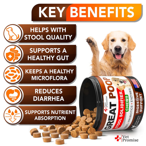 Great Poop Probiotics for Dogs