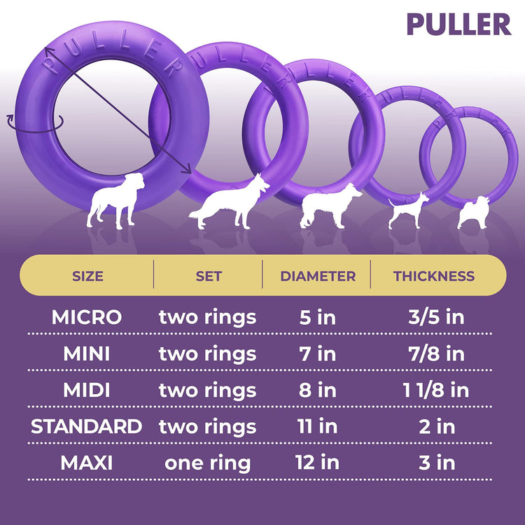 Puller Outdoor Dog Ring Toy