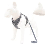 Reflective Nylon Dog Harness