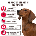 Natural Urinary Tract Support for Dogs