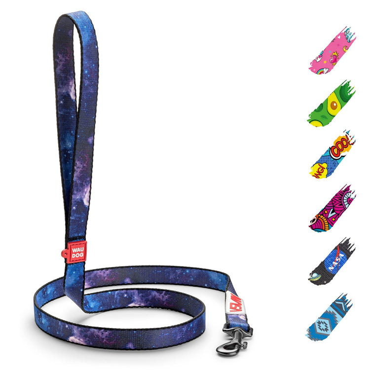 Dog Leash for Small & Medium Dogs