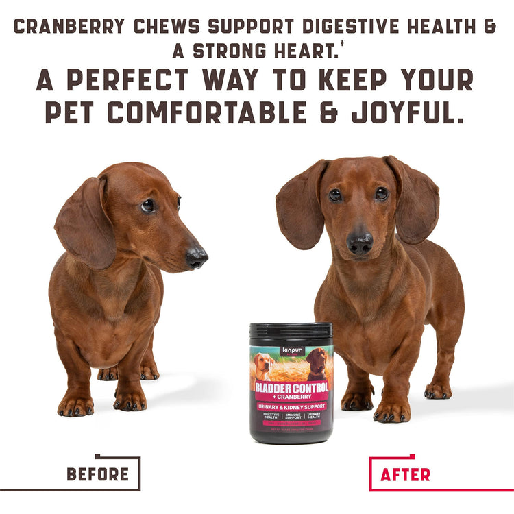 Natural Urinary Tract Support for Dogs