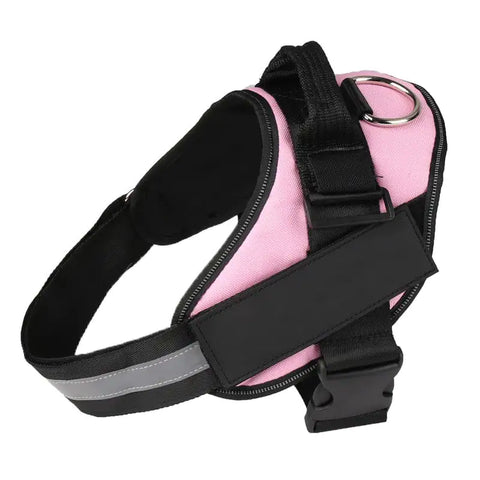 Personalized No Pull Harness