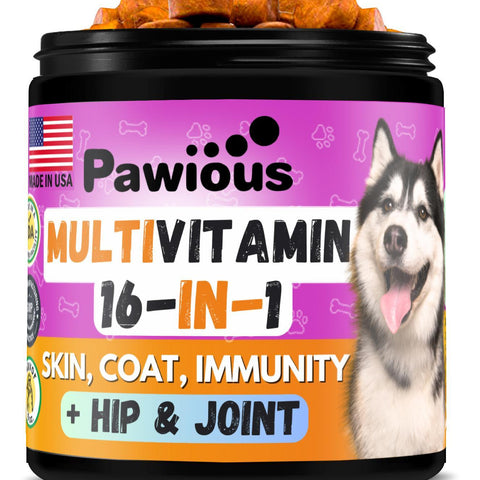 Dog Vitamins and Supplements