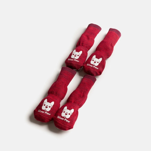 Dog Red Socks