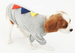 Comfortable Apparel for Your Dog