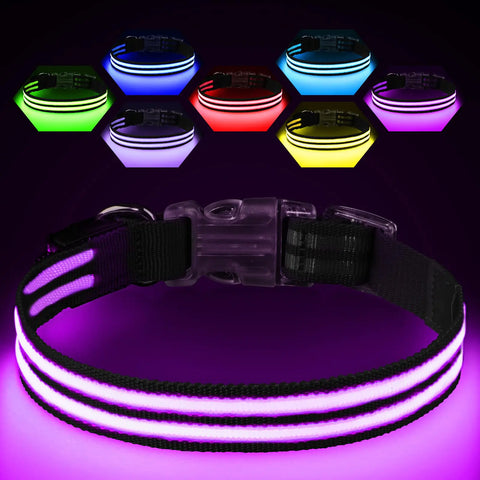 Rechargeable LED Dog Collar