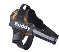 Custom Dog Harness with Tag