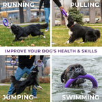 Puller Outdoor Dog Ring Toy