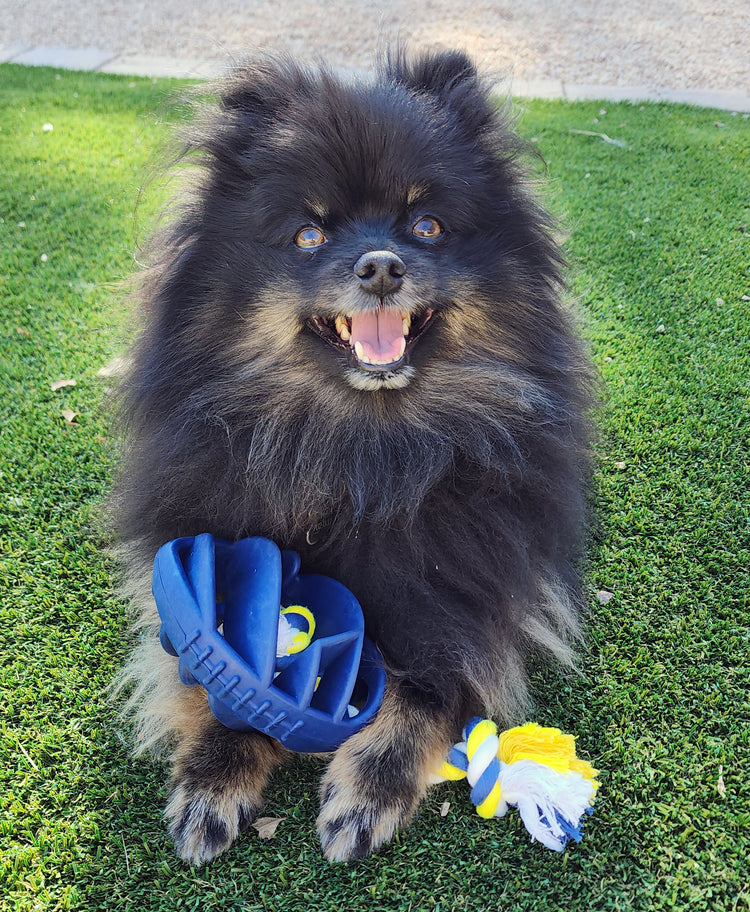 Rubber Football Dog Chew Toy