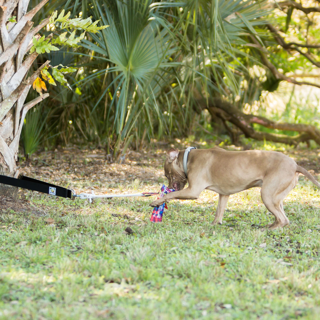 Dog Super Tug Toy