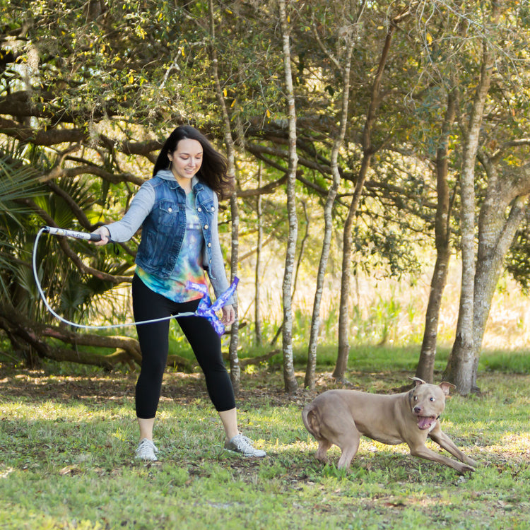 Dog Exercise & Training Toy