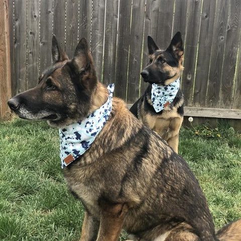 Adjustable Dog Bandana