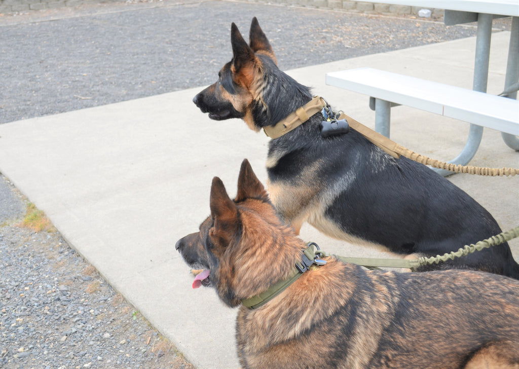 Military Dog Tactical Harness